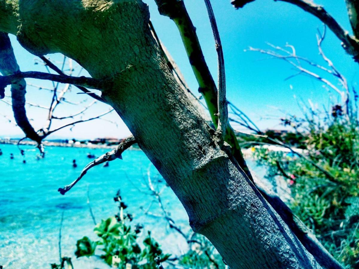 Le Stanze Del Mare Aparthotel กอลโฟอารันชี ภายนอก รูปภาพ