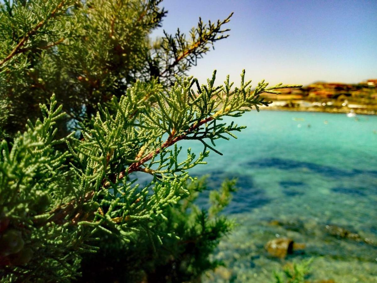 Le Stanze Del Mare Aparthotel กอลโฟอารันชี ภายนอก รูปภาพ
